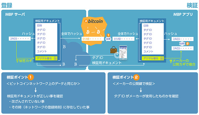 図2　登録／検証の手順